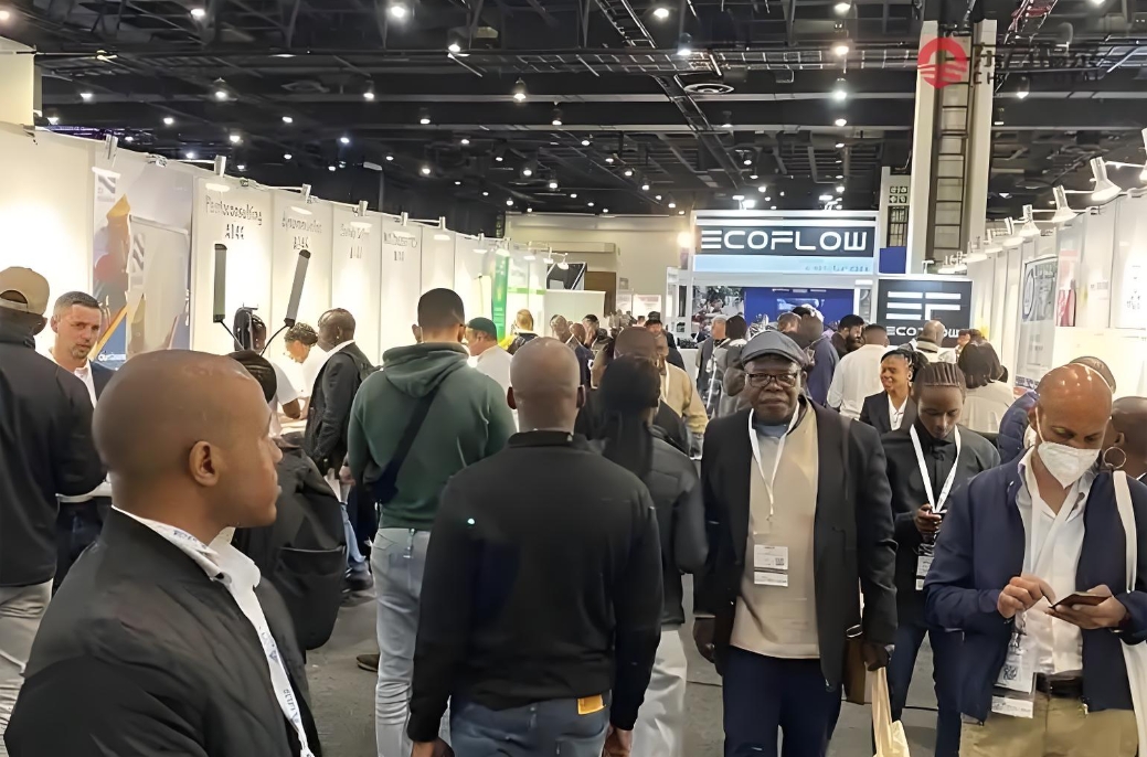 1735005332389478.jpg 12.24-2.jpg